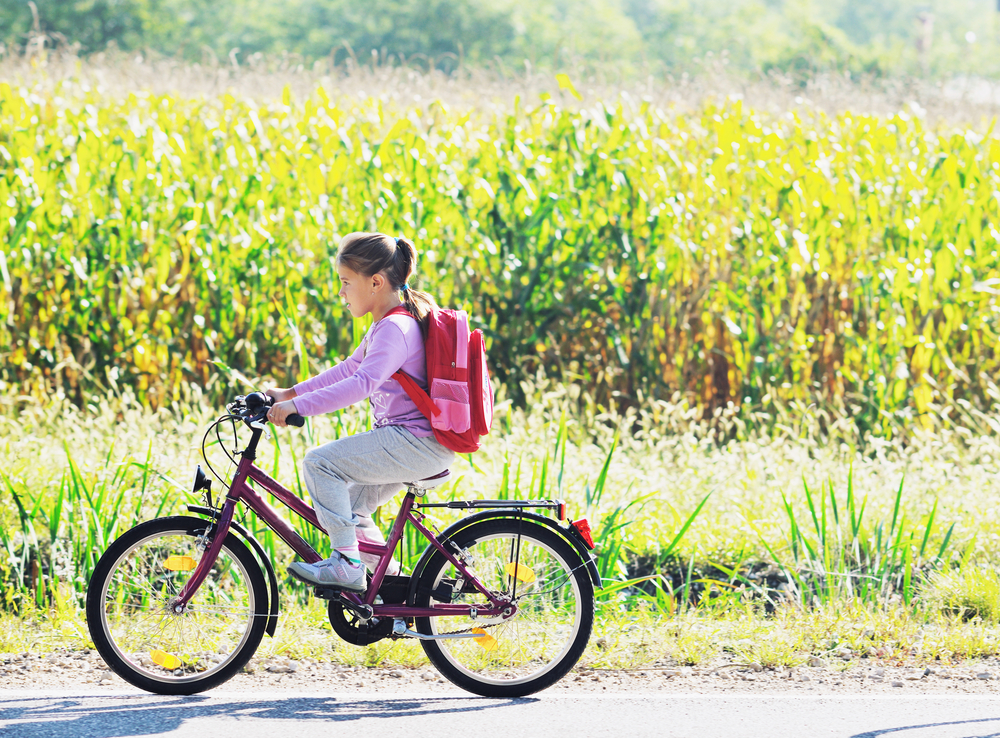 schoolgirl traveling to school on bicycle at early morning on beautiful nature